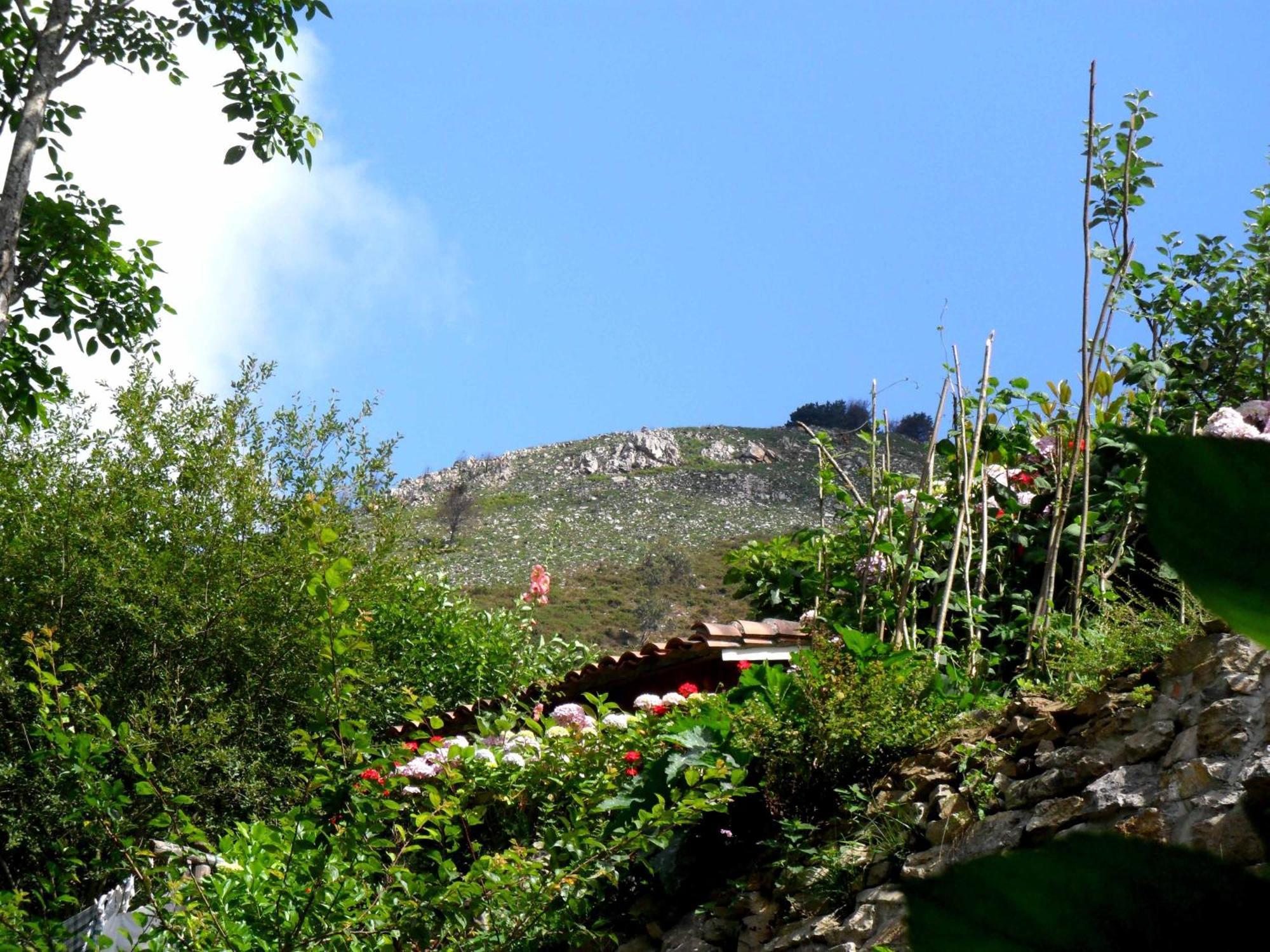 Casa Rural La Posada Del Alba Alea Dış mekan fotoğraf